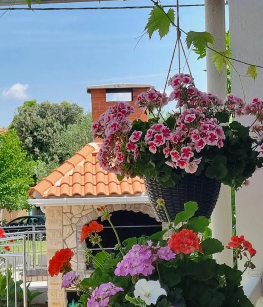 Apartments Strkalj Bibinje